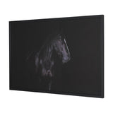Majestic Midnight by Rehpoehler Framed Photo Print Matted under Glass from Mercana - Luna Furniture