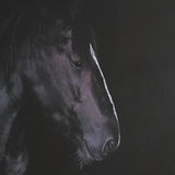 Majestic Midnight by Rehpoehler Framed Photo Print Matted under Glass from Mercana - Luna Furniture