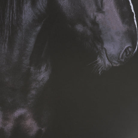 Majestic Midnight by Rehpoehler Framed Photo Print Matted under Glass from Mercana - Luna Furniture