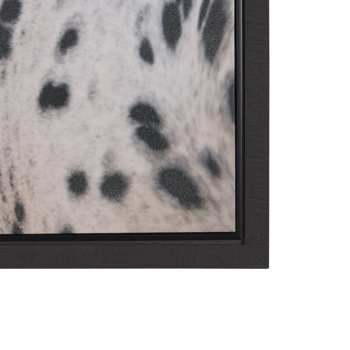 Andromeda 4 by Crystal Lynn Collins Hand-Embellished Textured Framed Canvas Artwork from Mercana - Luna Furniture