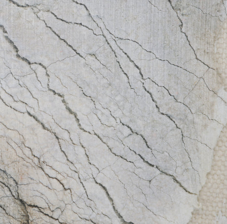 Evolution by Ira Havuka Hand-Embellished Textured Framed Canvas Artwork from Mercana - Luna Furniture