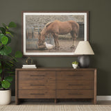 Belford 6-Drawer Dark Brown Oak Wood Dresser from Mercana - Luna Furniture