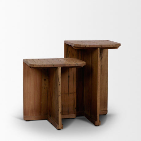 Lucan Mid-Dark Brown Reclaimed Wood Side Tables from Mercana - Luna Furniture