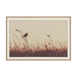 Meadowlark Call Antique by Nathan Larson FramedPhoto Matted under Glass from Mercana - Luna Furniture