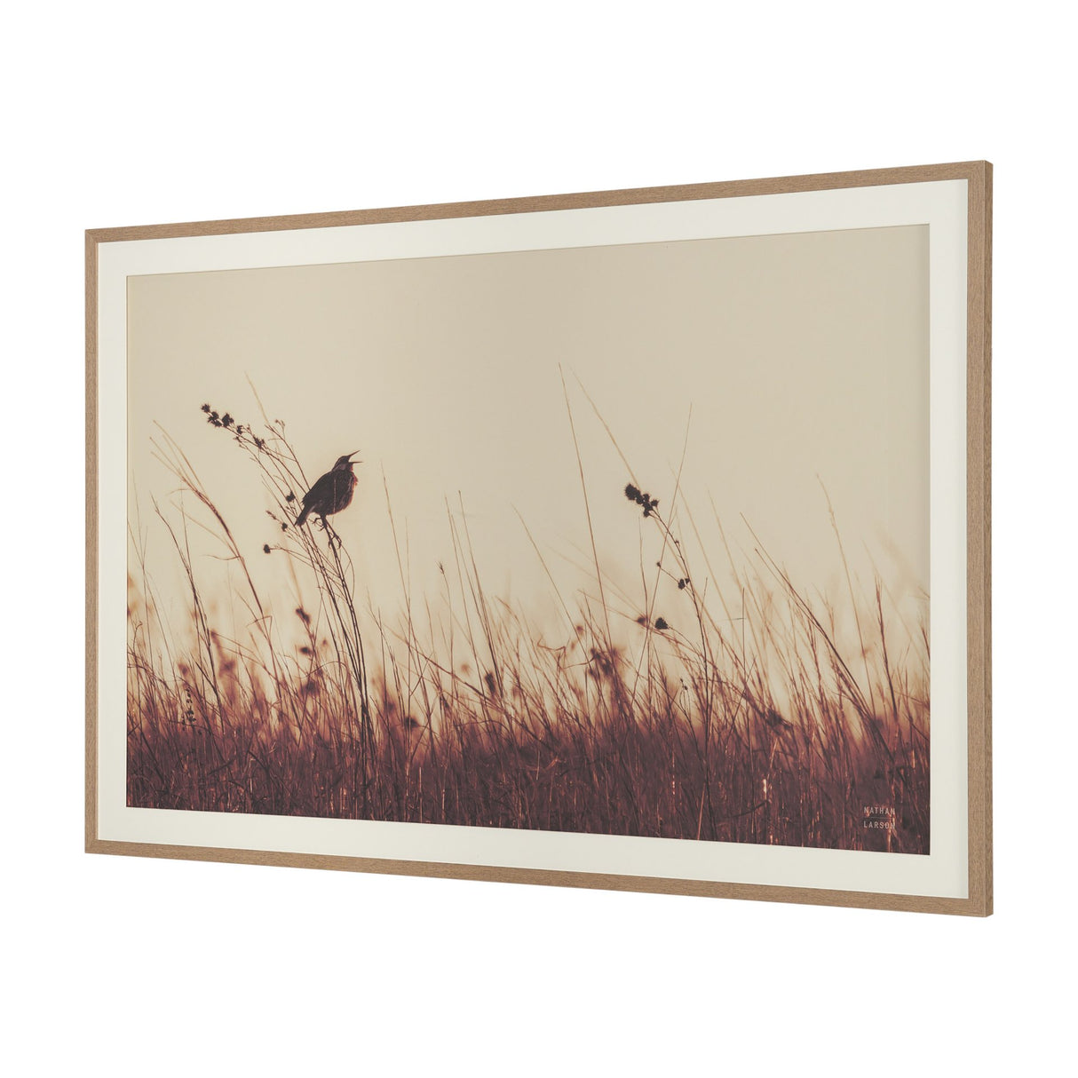 Meadowlark Call Antique by Nathan Larson FramedPhoto Matted under Glass from Mercana - Luna Furniture