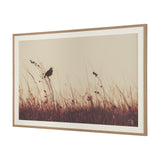 Meadowlark Call Antique by Nathan Larson FramedPhoto Matted under Glass from Mercana - Luna Furniture