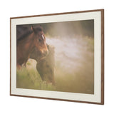 Magic by Chad Mackay FramedPhoto Print Matted under Glass from Mercana - Luna Furniture