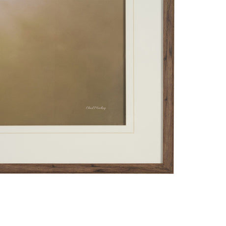 Magic by Chad Mackay FramedPhoto Print Matted under Glass from Mercana - Luna Furniture