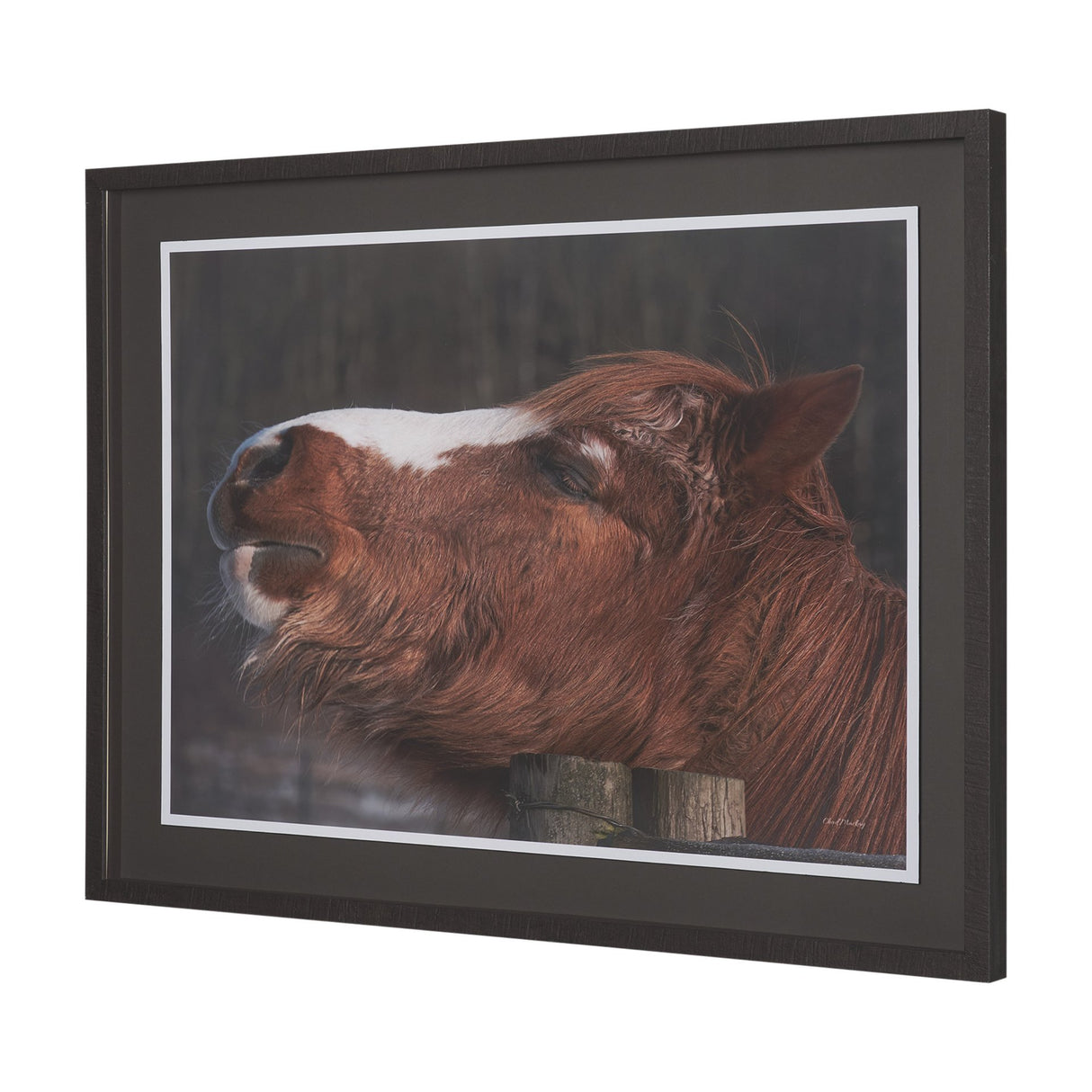 Hay over Here. by Chad Mackay FramedPhoto Print Matted under Glass from Mercana - Luna Furniture