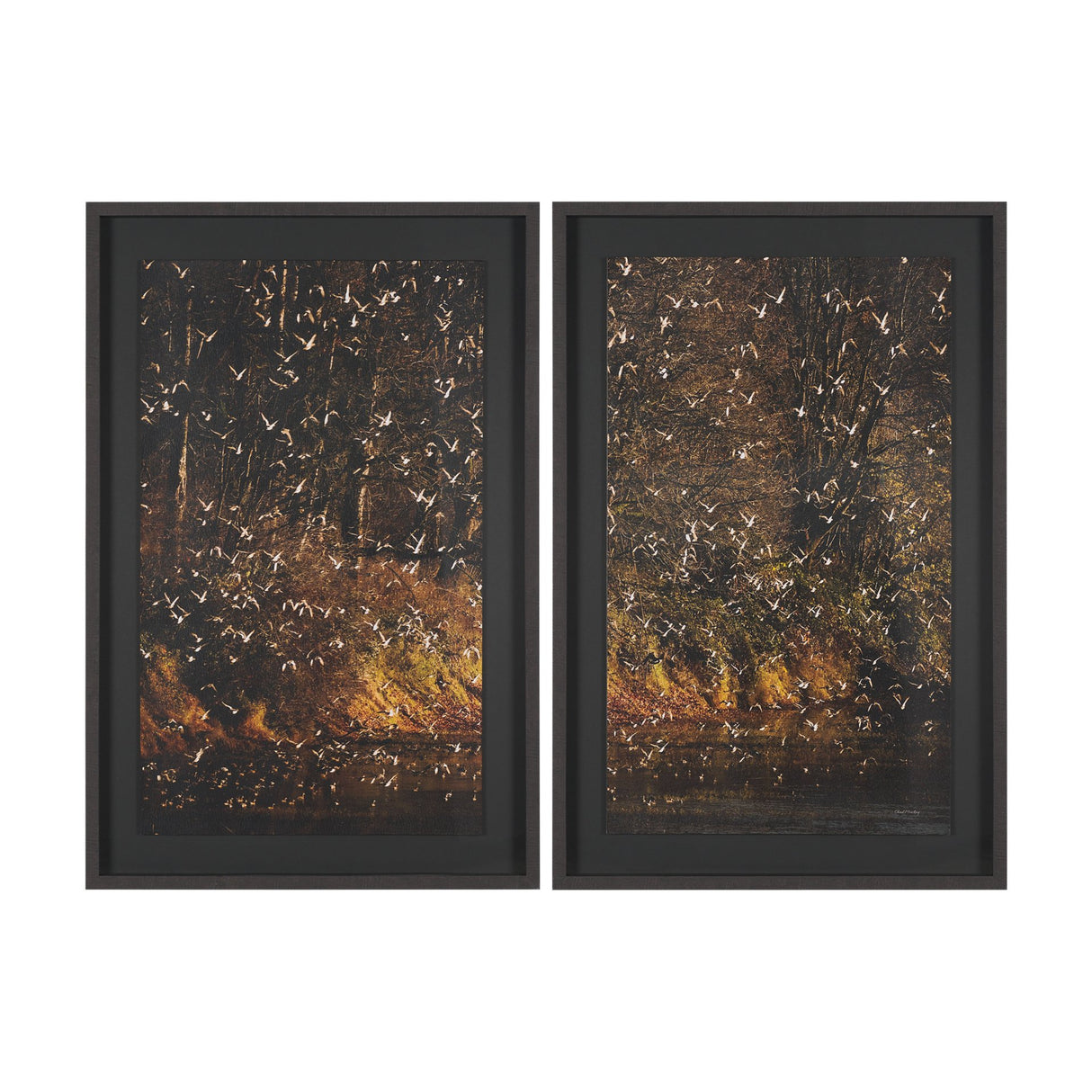 Gilded Flight by Chad Mackay Textured Framed Photo Print Matted under Glass (Set of 2) from Mercana - Luna Furniture