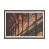 Trinity Library III by Nathan Larson FramedPhoto Print Matted under Glass from Mercana - Luna Furniture