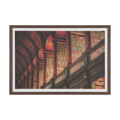 Trinity Library III by Nathan Larson FramedPhoto Print Matted under Glass from Mercana - Luna Furniture