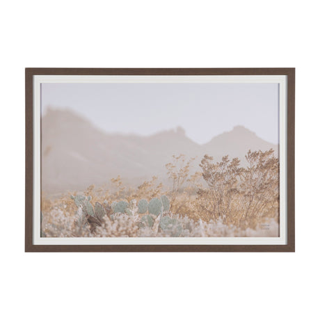 Big Bend National Park by Nathan Larson FramedPhoto Print Matted Under Glass from Mercana - Luna Furniture