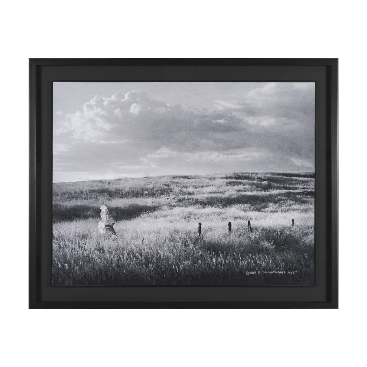 Fence Line Flight I by R. Christopher Vest Textured FramedPhoto Print Matted under Glass from Mercana - Luna Furniture