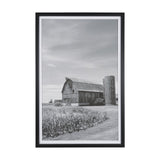 Farm Serenity II by Leda Robertson Textured FramedPhoto Print Matted under Glass from Mercana - Luna Furniture