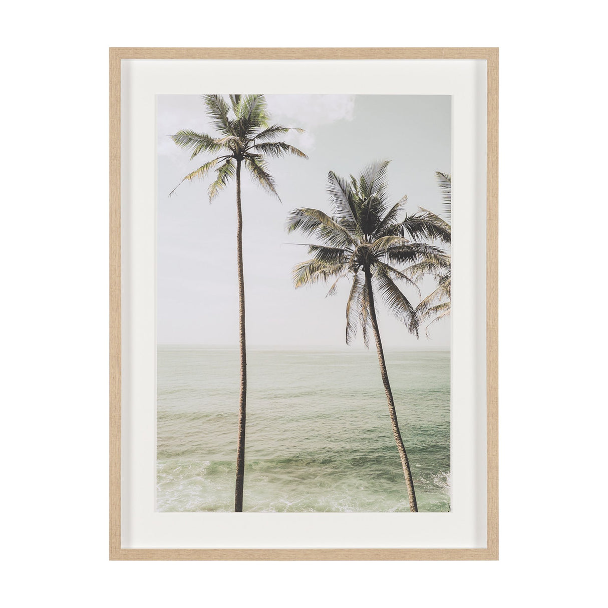 Oceanside Palms by Shot By Clint Framed Photo Print Matted under Glass from Mercana - Luna Furniture