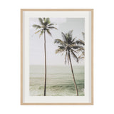 Oceanside Palms by Shot By Clint Framed Photo Print Matted under Glass from Mercana - Luna Furniture