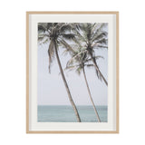 Ocean Breeze Palms by Shot By Clint Framed Photo Print Matted under Glass from Mercana - Luna Furniture