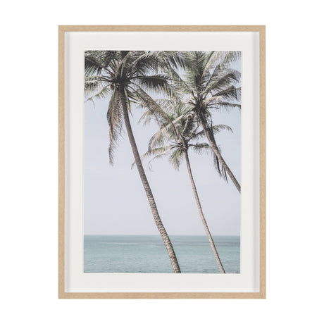 Ocean Breeze Palms by Shot By Clint Framed Photo Print Matted under Glass from Mercana - Luna Furniture