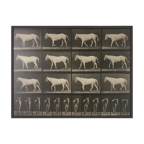 Walking Free by Eadweard Muybridge Textured Framed CanvasPhoto Print from Mercana - Luna Furniture