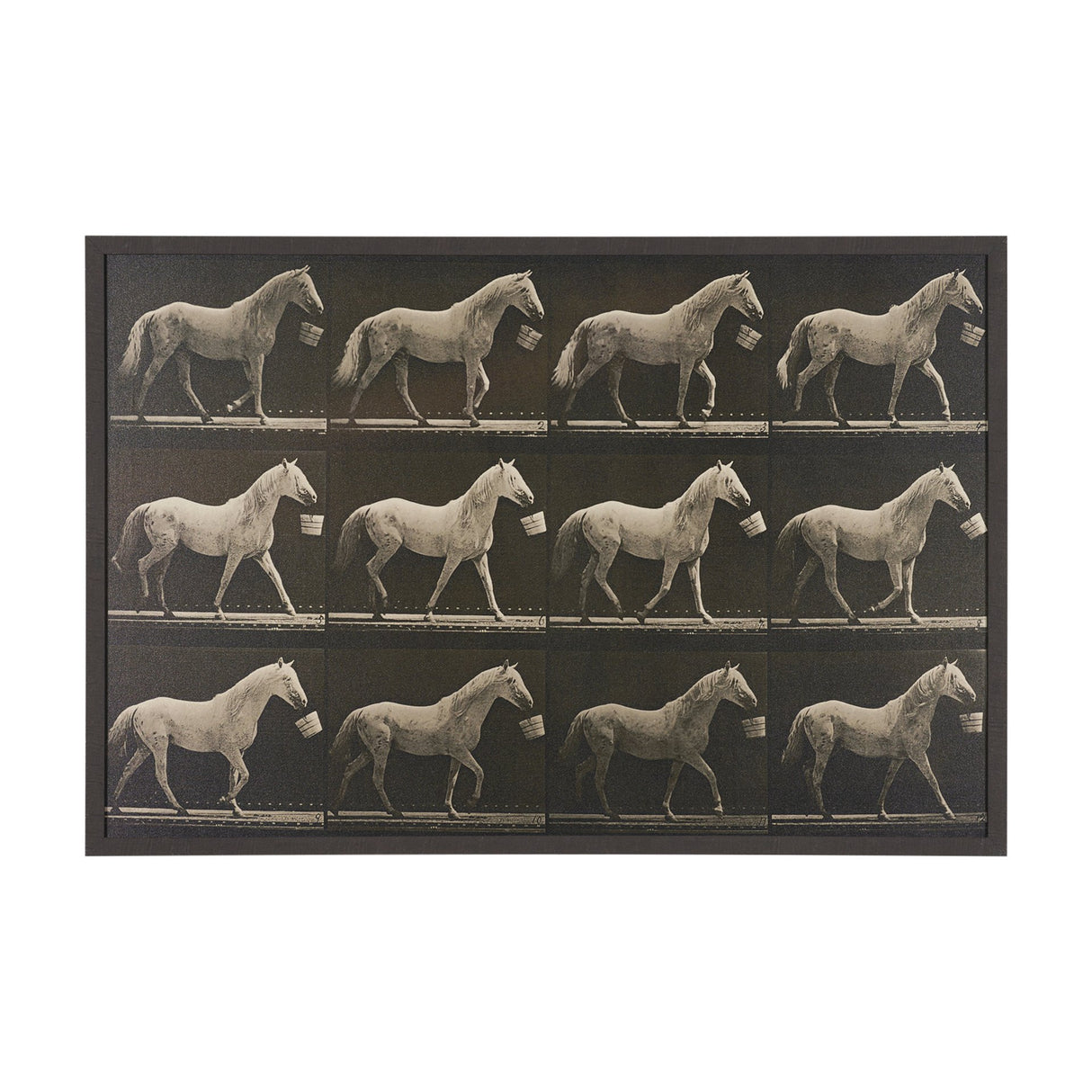 Walking Tall by Eadweard Muybridge Textured Framed CanvasPhoto Print from Mercana - Luna Furniture