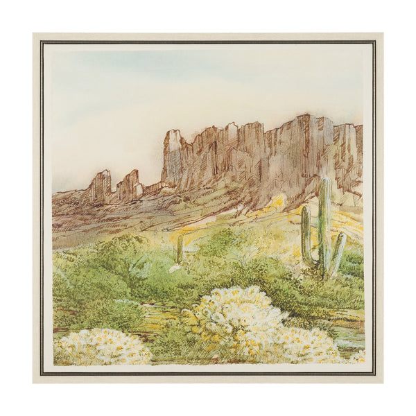 Cactus Country I by Mercana Studio Hand-Embellished Textured Framed Canvas Artwork