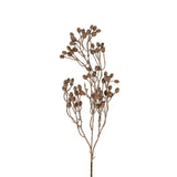 Dripping Dried Berry Branch, Set of 12 from Mercana - Luna Furniture
