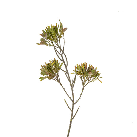 Wild Flower Spray, Green, Set of 12 from Mercana - Luna Furniture