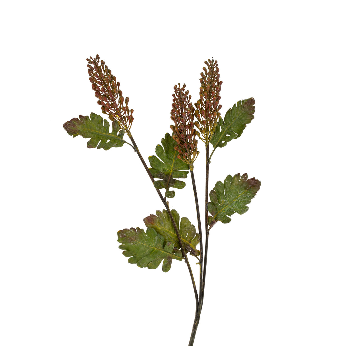 Astilbe Floral Spray, Set of 12 from Mercana - Luna Furniture