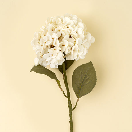 Hydrangea Floral Stem, White, Set of 24 from Mercana - Luna Furniture