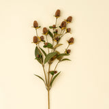 Globe Amaranth Spray, Set of 24 from Mercana - Luna Furniture