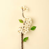 Pear Blossom Branch S, Set of 24 from Mercana - Luna Furniture