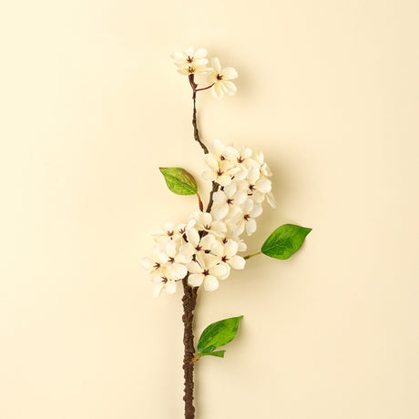 Pear Blossom Branch S, Set of 24 from Mercana - Luna Furniture