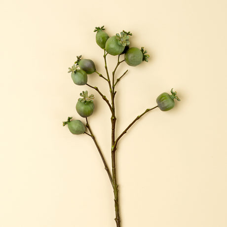 Poppy Pod Branch, Set of 24 from Mercana - Luna Furniture