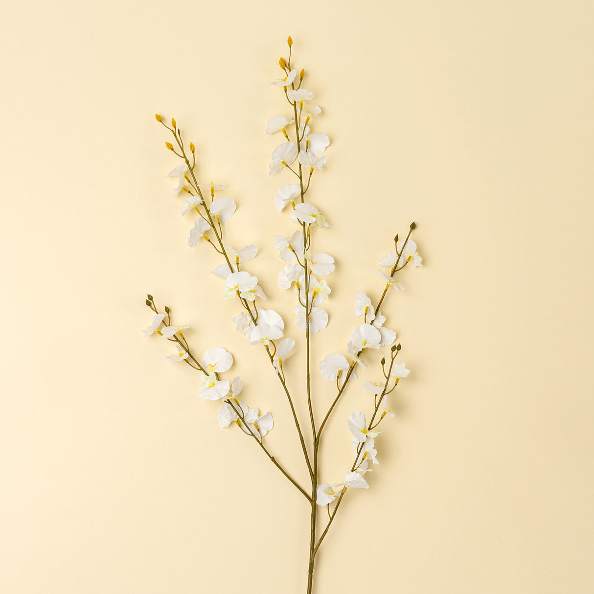 White Orchid Spray, Set of 36 from Mercana - Luna Furniture