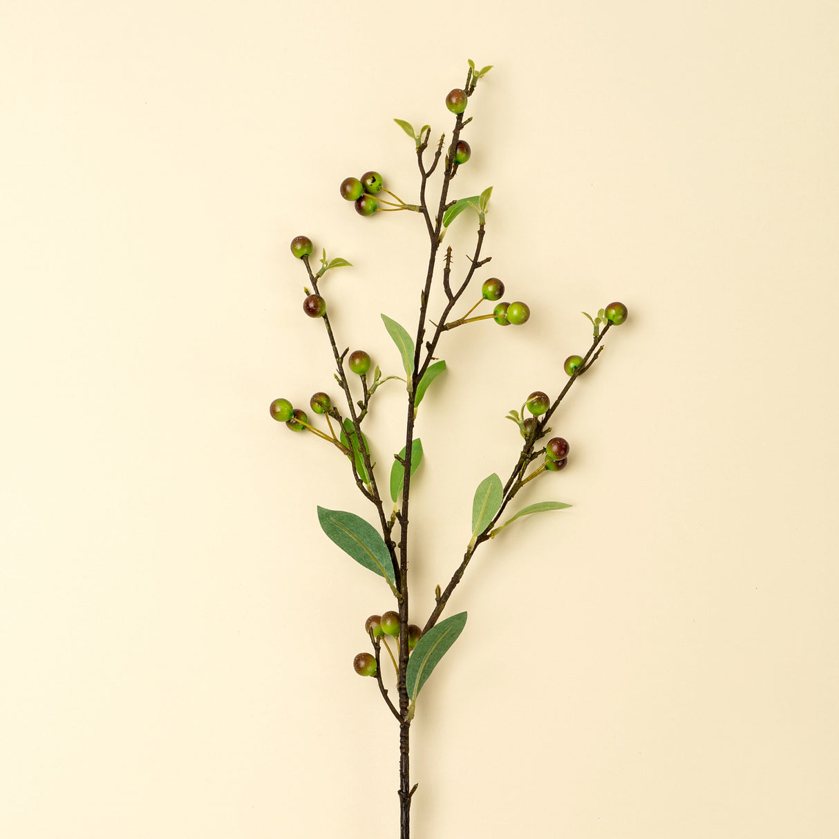 Hypericum Berry Spray, Set of 36 from Mercana - Luna Furniture