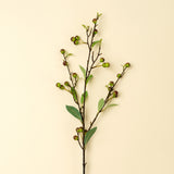 Hypericum Berry Spray, Set of 36 from Mercana - Luna Furniture