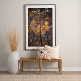 Kenzie 20x20 Square Pillow Cover, Set of 2 from Mercana - Luna Furniture