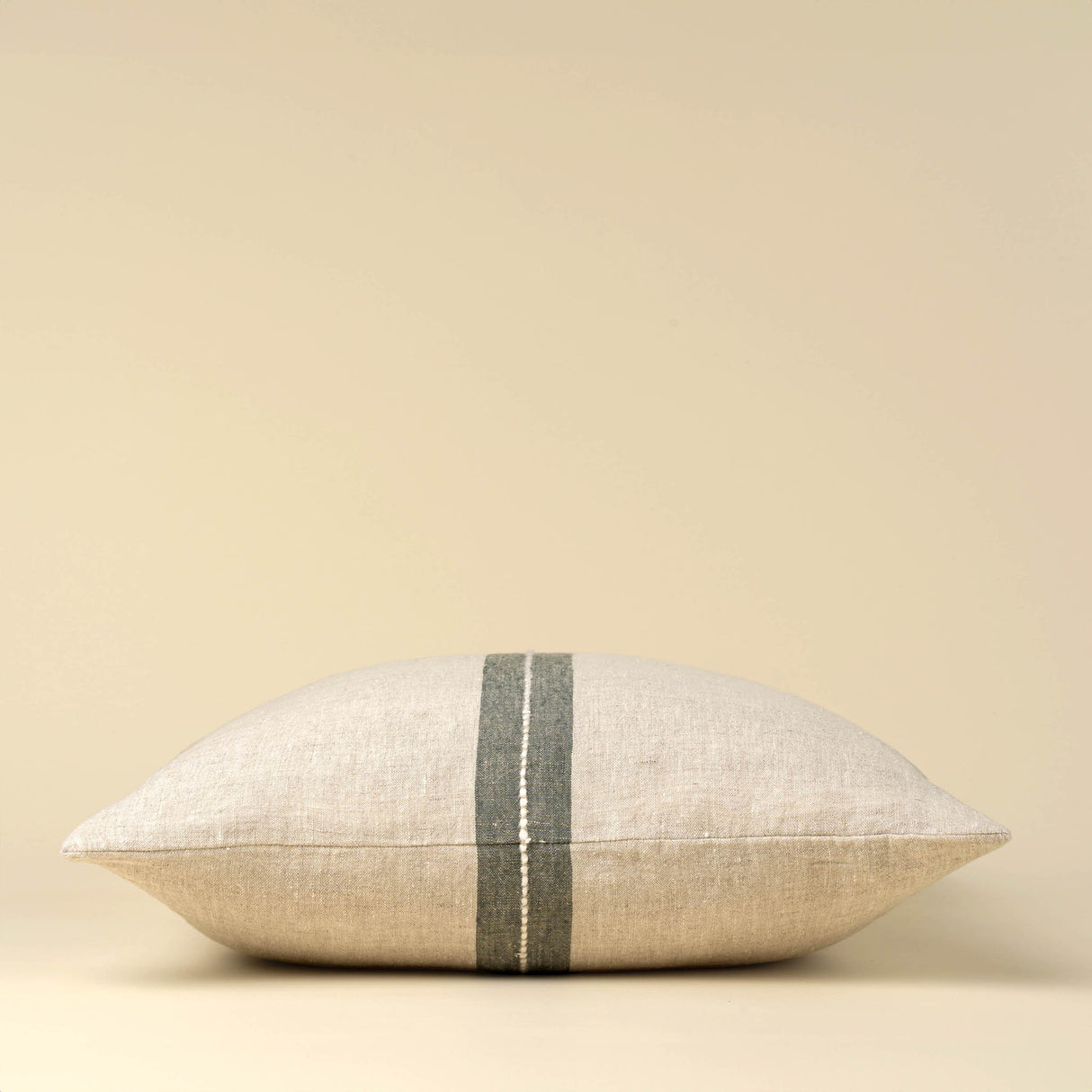 Emmett 20x20 Linen Pillow, Natural Cover, Set of 2 from Mercana - Luna Furniture