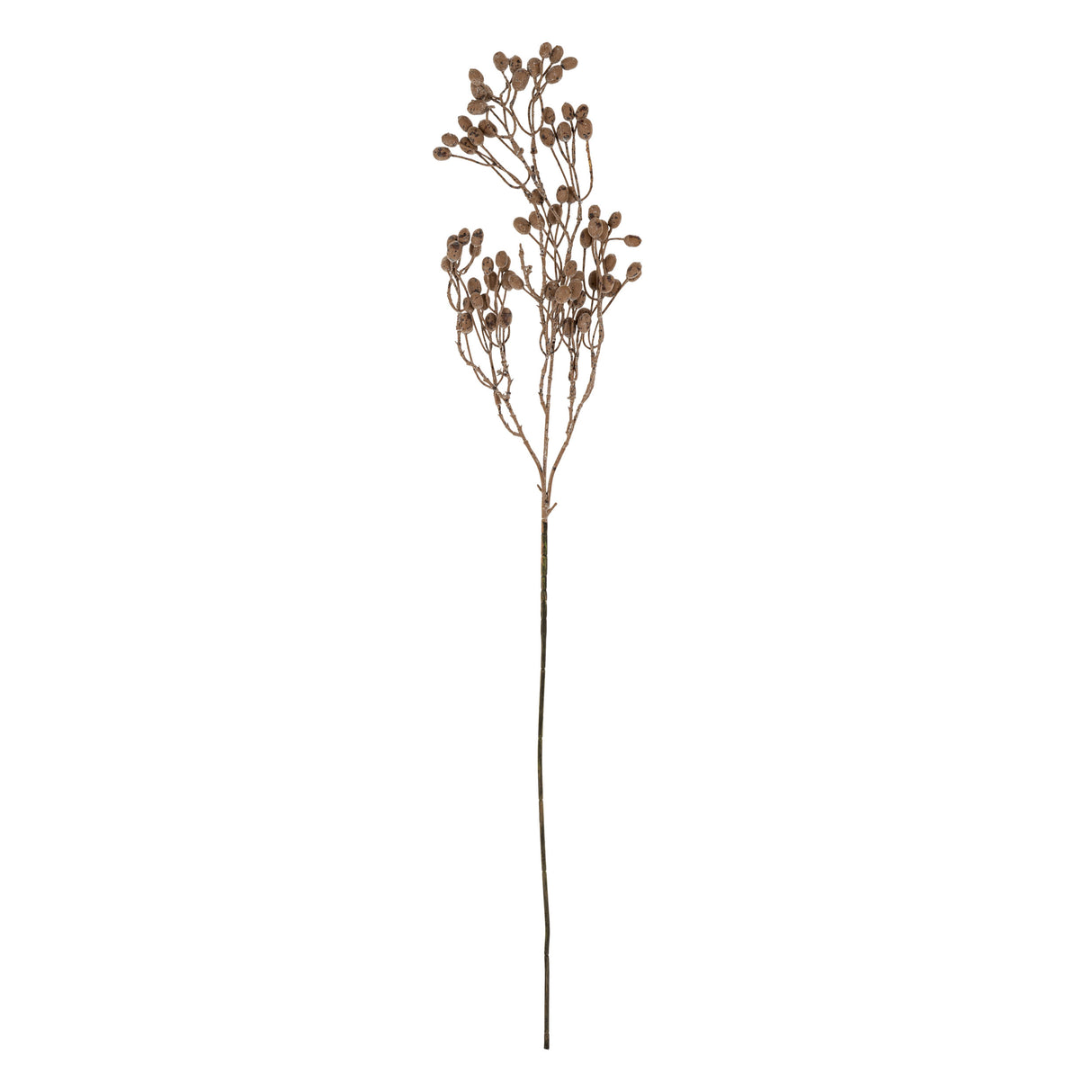 Dripping Dried Berry Branch, Set of 12 from Mercana - Luna Furniture