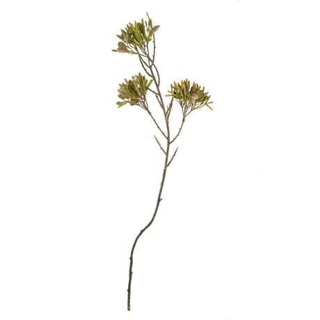 Wild Flower Spray, Green, Set of 12 from Mercana - Luna Furniture