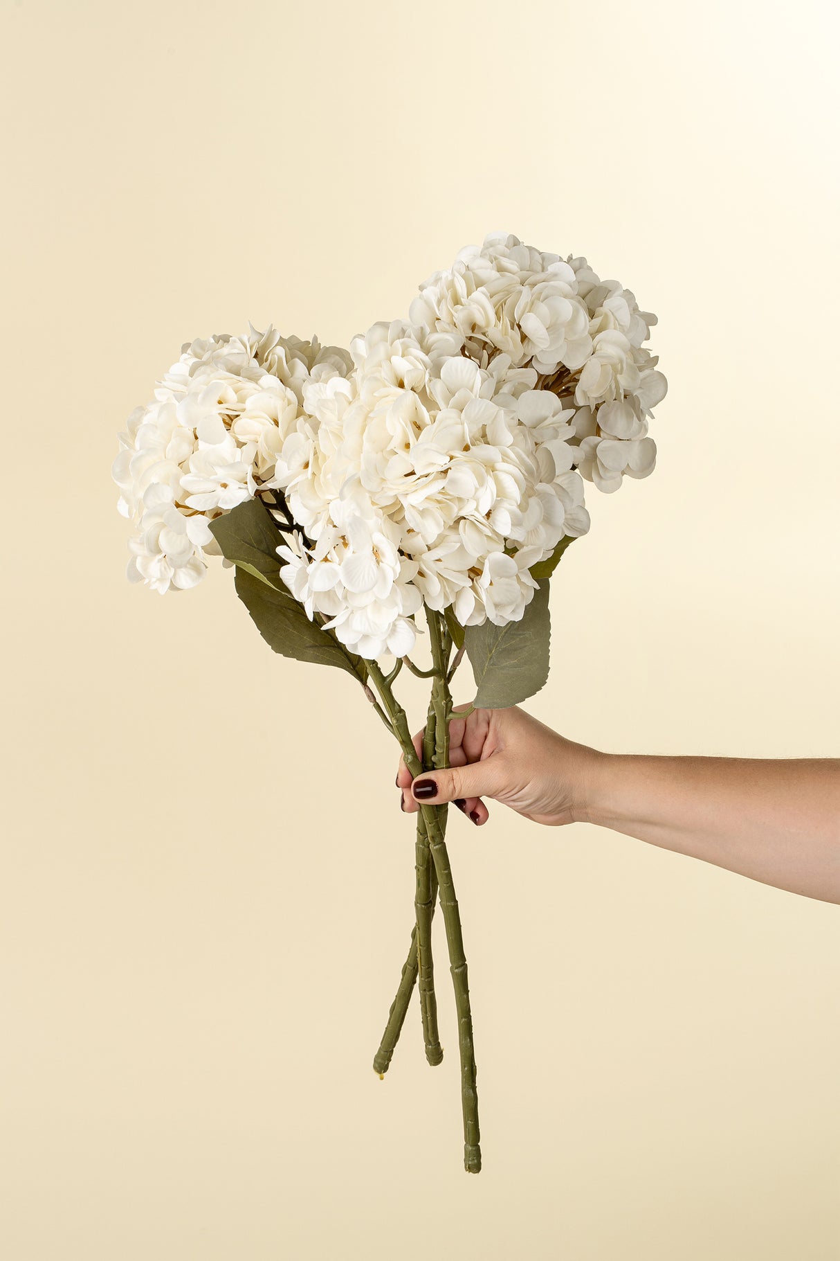 Hydrangea Floral Stem, White, Set of 24 from Mercana - Luna Furniture