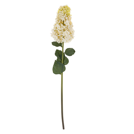 Hydrangea Paniculata Stem, Set of 12 from Mercana - Luna Furniture