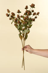 Globe Amaranth Spray, Set of 24 from Mercana - Luna Furniture