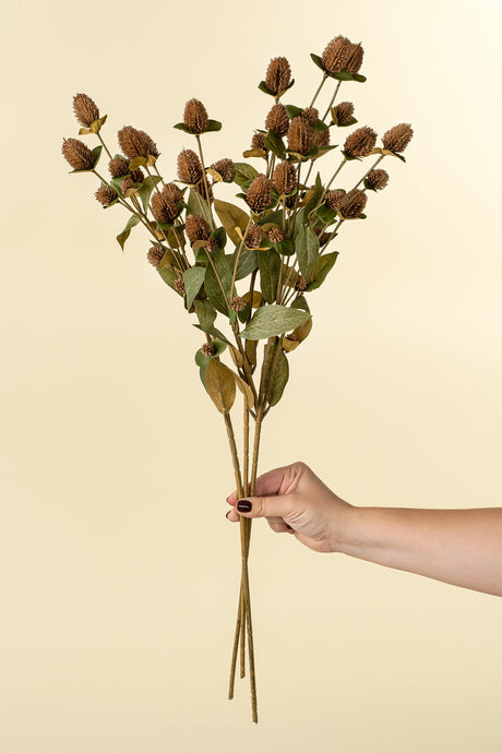 Globe Amaranth Spray, Set of 24 from Mercana - Luna Furniture
