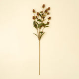 Globe Amaranth Spray, Set of 24 from Mercana - Luna Furniture