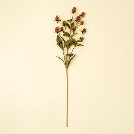 Globe Amaranth Spray, Set of 24 from Mercana - Luna Furniture