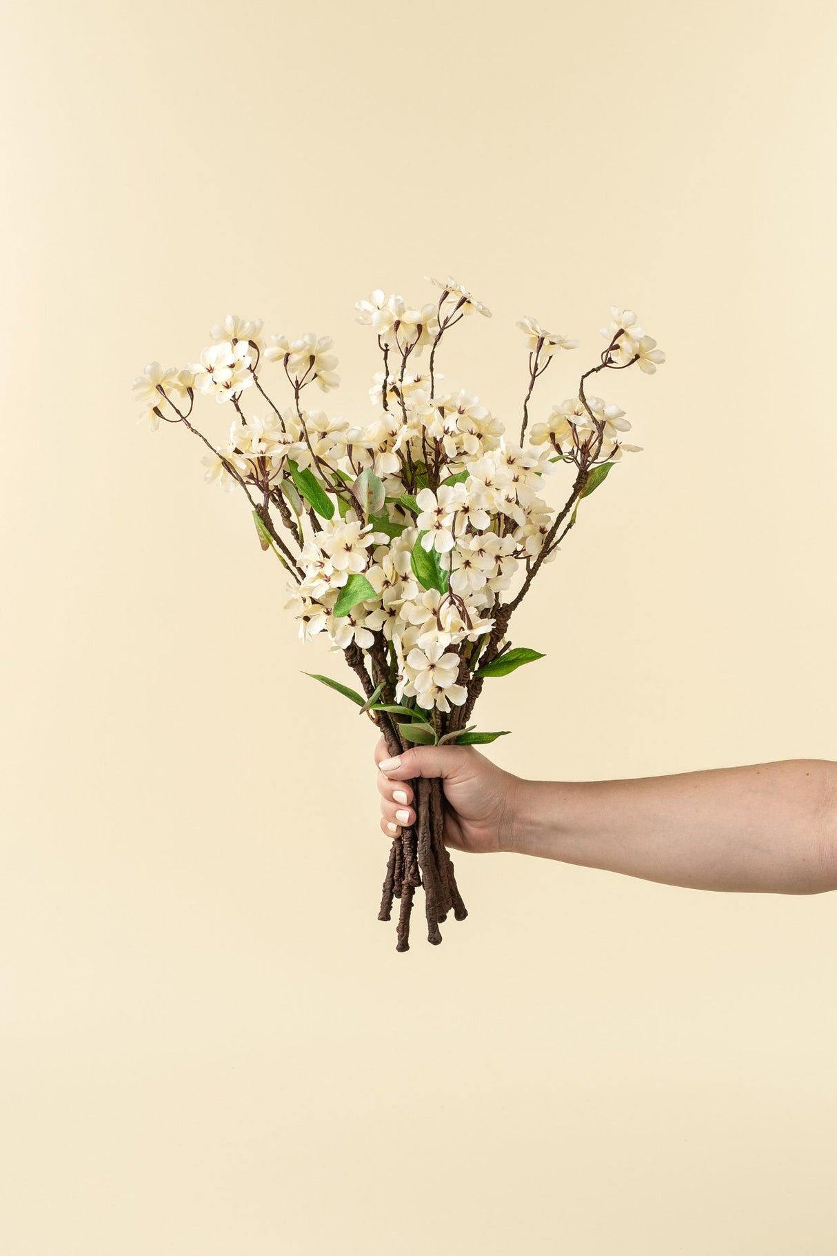 Pear Blossom Branch S, Set of 24 from Mercana - Luna Furniture