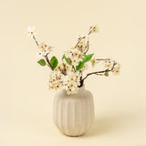 Pear Blossom Branch S, Set of 24 from Mercana - Luna Furniture