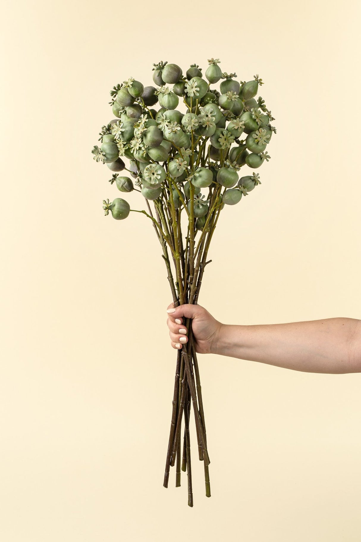 Poppy Pod Branch, Set of 24 from Mercana - Luna Furniture